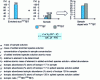 Figure 10 - Principle of speciation analysis by isotope dilution: example of TBT analysis