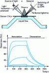 Figure 8 - SPR measurement principle and sensorgram obtained