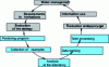 Figure 3 - Water management cycle [19]