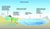 Figure 7 - Schematic representation of the main phenomena involved in sea-level rise [41].