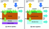 Figure 2 - Water exchange in the soil/atmosphere system