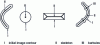 Figure 13 - Skeleton transformations