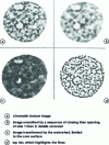 Figure 18 - Images of morphological transformations on a core