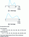 Figure 5 - Point-by-point transformation: contrast enhancement