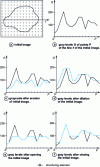 Figure 9 - Grayscale mathematical morphology transformations