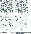 Figure 11 - Particle size measurement