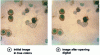 Figure 12 - Example of a color morphological transformation