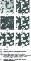 Figure 14 - Example of geodesic expansion