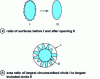 Figure 21 - Shape parameters