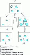 Figure 8 - Binary transformations in mathematical morphology