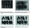 Figure 6 - Submicron object observation [20]