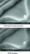 Figure 24 - SEM-FEG observation of barium titanate powder (doc. F. Grillon, ENSMP)