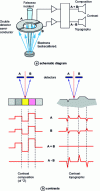 Figure 25 - Ring diode backscattered electron detector (two-sector model)