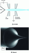 Figure 15 - Filament cold cathode field emission gun