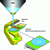 Figure 27 - Transmitted electron detector for scanning electron microscope