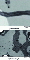 Figure 12 - Observations in transmitted mode in a SEM (doc. FEI)