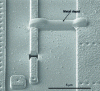 Figure 31 - Reconnection of two electrical lines in a circuit by metal deposition (doc. Christophe Lehrer, Institut Franhofer)