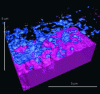 Figure 32 - Visualization after 3D reconstruction of cracks (in blue) in the oxide layer on the surface of a zirconium alloy (in red) (doc. EDF R)