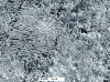 Figure 35 - Observation of a pearlitic steel microstructure