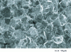 Figure 36 - Observation of an intergranular brittle fracture surface of a steel