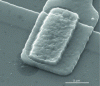 Figure 40 - Observation of an electrical contact in an electronic microcircuit