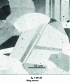 Figure 7 - Backscattered electron emission observation of the crystalline contrast of austenitic stainless steel by channelling the primary beam.