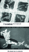 Figure 25 - Secondary electron observation by scanning electron microscopy of a grid extraction replica featuring iron-chromium carboborides