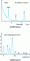 Figure 4 - Comparison of WDS and EDS spectra at very low energies (E < 1 keV)