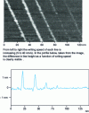 Figure 10 - Example of nanoscale lithography. Ge lines obtained by sub-tip decomposition of germane (GeH4) on a Si substrate (source: D. Albertini – GPEC, Marseille)