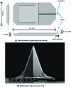 Figure 28 - AFM tip (image source: Nanosensors tip manufacturer's website)