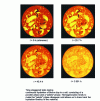 Figure 17 - X-ray computed tomography visualization using a medical scanner of water absorption in nuclear waste storage clays (doc. CEA, COFREND collaboration).