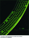 Figure 25 - Microtomography of a metal matrix composite part (doc. Tomo Adour, COFREND collaboration)