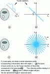 Figure 5 - General principle of reconstruction: frequency space [15].