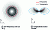 Figure 16 - Comparison of frequency supports obtained with holography and ToRI diffractive tomography