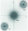 Figure 2 - Representation of the spectrum obtained on an off-axis assembly, showing that the three components are separated in Fourier space.