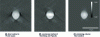 Figure 23 - ToRI reconstruction of a 4.9 μm ball