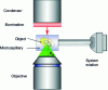 Figure 6 - Object rotation system for microscopy. Detail of device