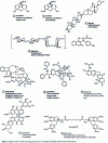 Figure 1 - Structure, plant origin and indications of some active ingredients extracted from plants or obtained by synthesis