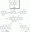 Figure 21 - Structural analogy of bis-hydroxycoumarin with K vitamins