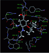 Figure 30 - Interactions of oseltamivir with the H5N1 neuraminidase active site