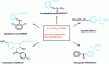 Figure 26 - Active ingredient structures with arylalkanoic skeletons