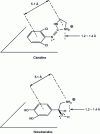 Figure 4 - Structural analogy between clonidine and noradrenaline