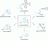 Figure 20 - Structures of active ingredients with a phenylpiperidine skeleton