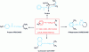 Figure 26 - Active ingredient structures with a skeleton for local anaesthetic properties