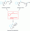 Figure 38 - Setron structures