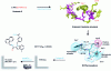 Figure 14 - Example of virtual screening using a 3D pharmacophore