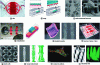 Figure 4 - Examples of microfluidics applications for the creation of organs-on-a-chip (figure reproduced from reference [88], under Creative Commons CC BY license)