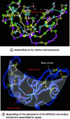 Figure 14 - Ribonuclease and its tertiary structure
determining its active site