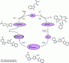 Figure 9 - Enzymatic synthesis of violacein