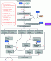 Figure 12 - Calvin cycle